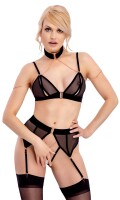 Bra And Suspender Briefs S