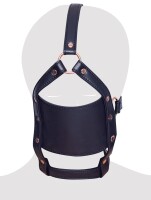 Head Harness With A Gag