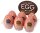 Egg Stronger Package 6pcs