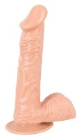 Dildo Medio Con Testicoli E Ventosa | You2Toys