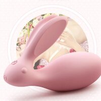 Love-Bunny Paarvibrator