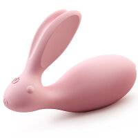 Love-Bunny Paarvibrator