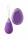 Remote Kegel Excite-Her - Purple